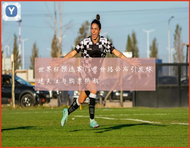 世界杯预选赛门票价格公布引发球迷关注与购票热潮