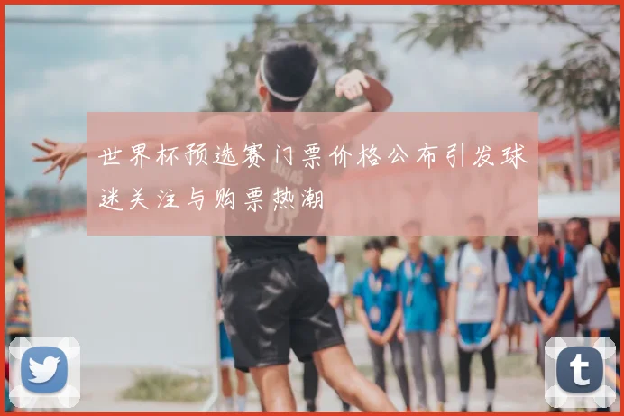 世界杯预选赛门票价格公布引发球迷关注与购票热潮