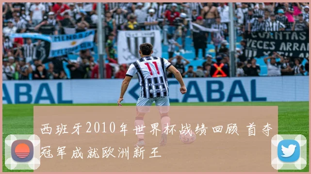 西班牙2010年世界杯战绩回顾 首夺冠军成就欧洲新王